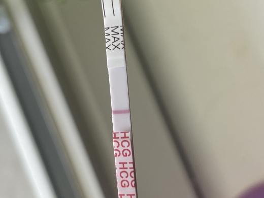 Home Pregnancy Test