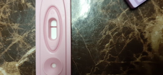 Home Pregnancy Test