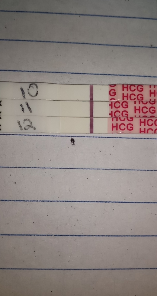 Home Pregnancy Test, 12 Days Post Ovulation, FMU