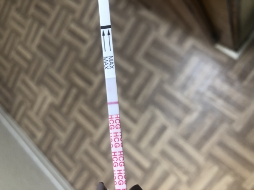 e.p.t. Pregnancy Test