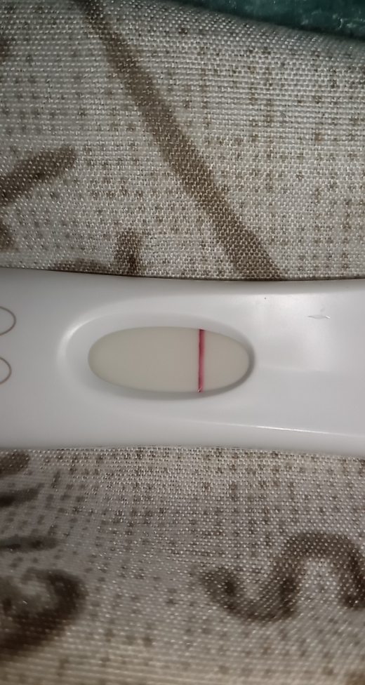 Home Pregnancy Test