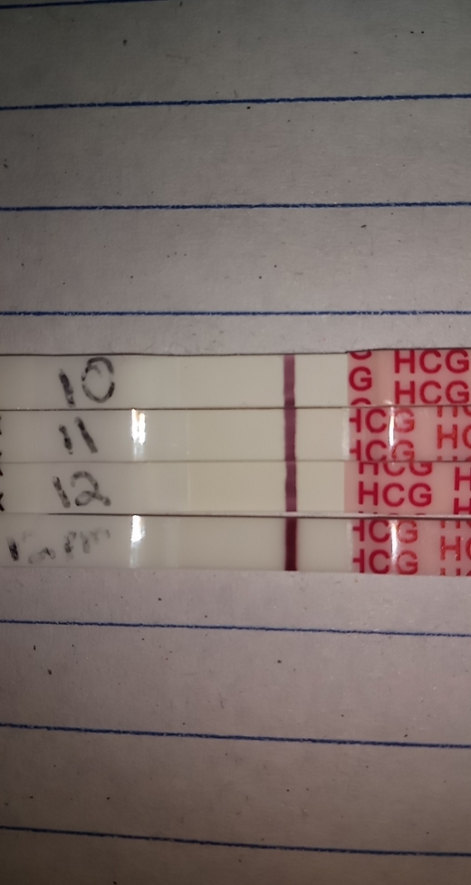 Home Pregnancy Test