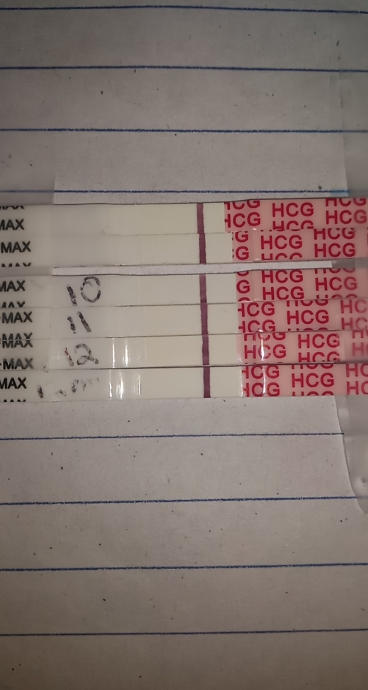 Wondfo Test Strips Pregnancy Test, 12 Days Post Ovulation, FMU