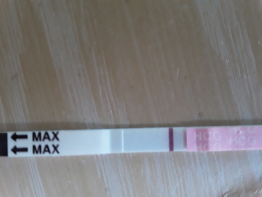 Home Pregnancy Test