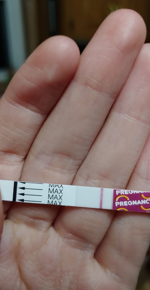 Generic Pregnancy Test, FMU, Cycle Day 40