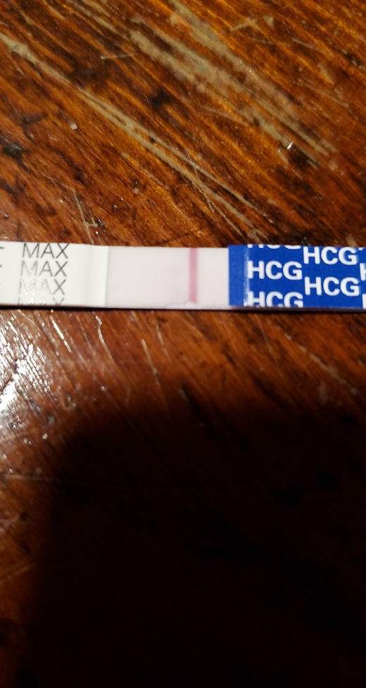 Home Pregnancy Test