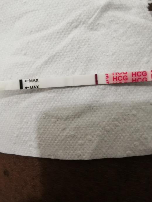 Wondfo Test Strips Pregnancy Test