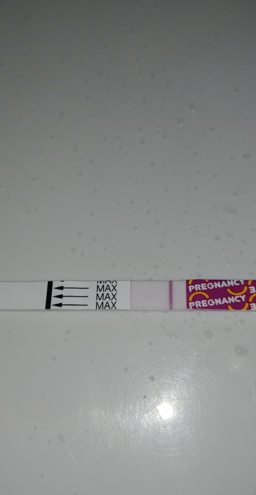 Home Pregnancy Test