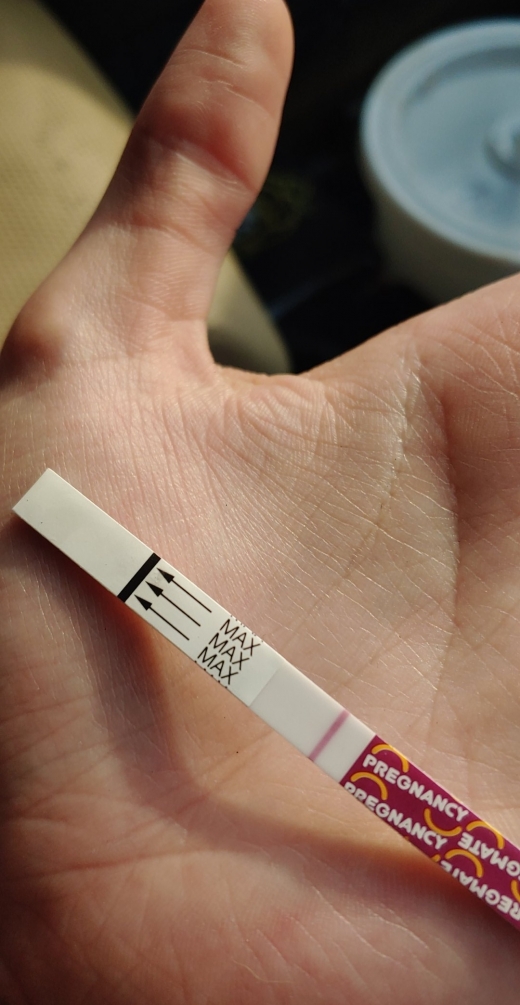 Home Pregnancy Test