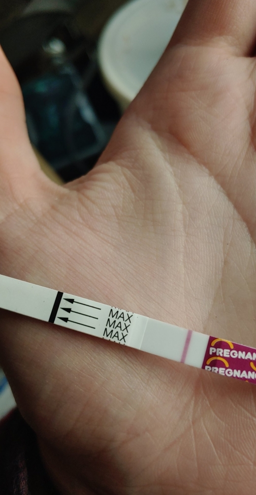 Home Pregnancy Test