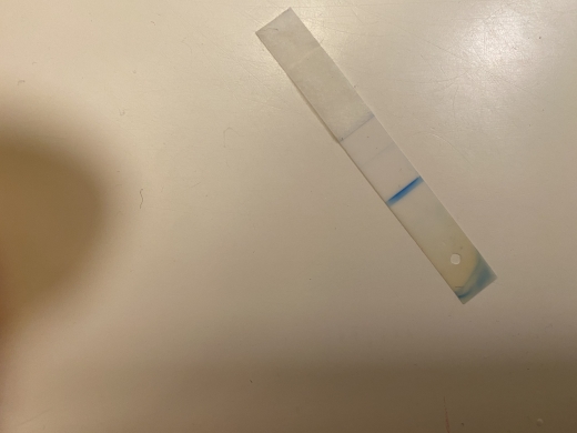 CVS Early Result Pregnancy Test, 14 Days Post Ovulation, FMU