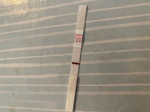 e.p.t. Pregnancy Test, 14 Days Post Ovulation, FMU