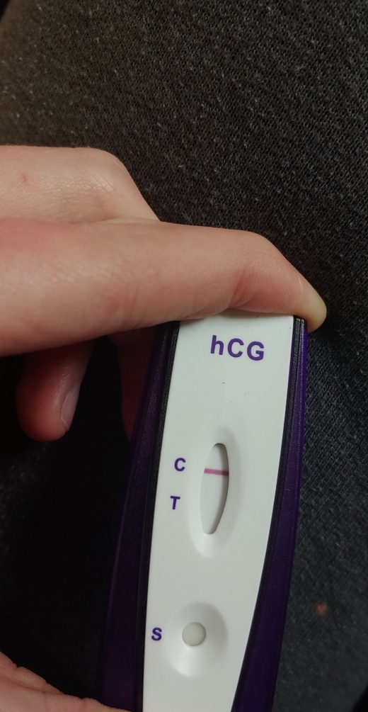 Home Pregnancy Test