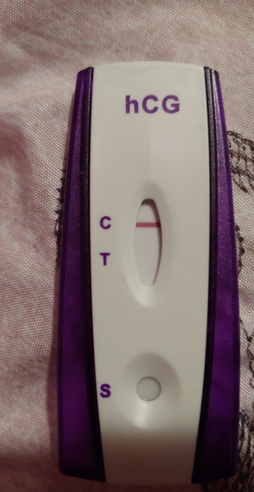 Home Pregnancy Test
