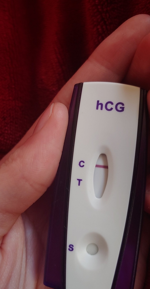 Home Pregnancy Test