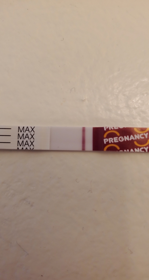 Home Pregnancy Test