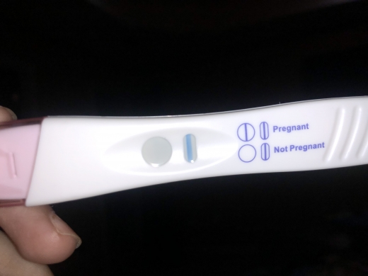 Home Pregnancy Test