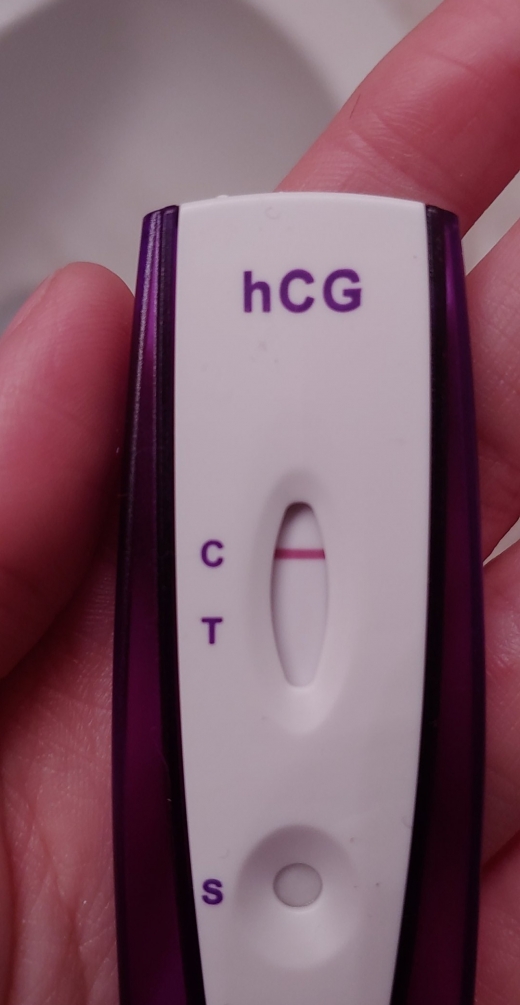 Home Pregnancy Test