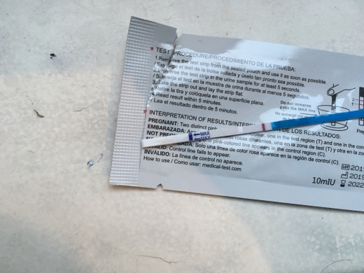 Home Pregnancy Test, 10 Days Post Ovulation, FMU