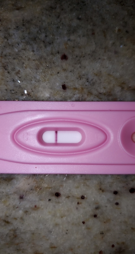 Home Pregnancy Test