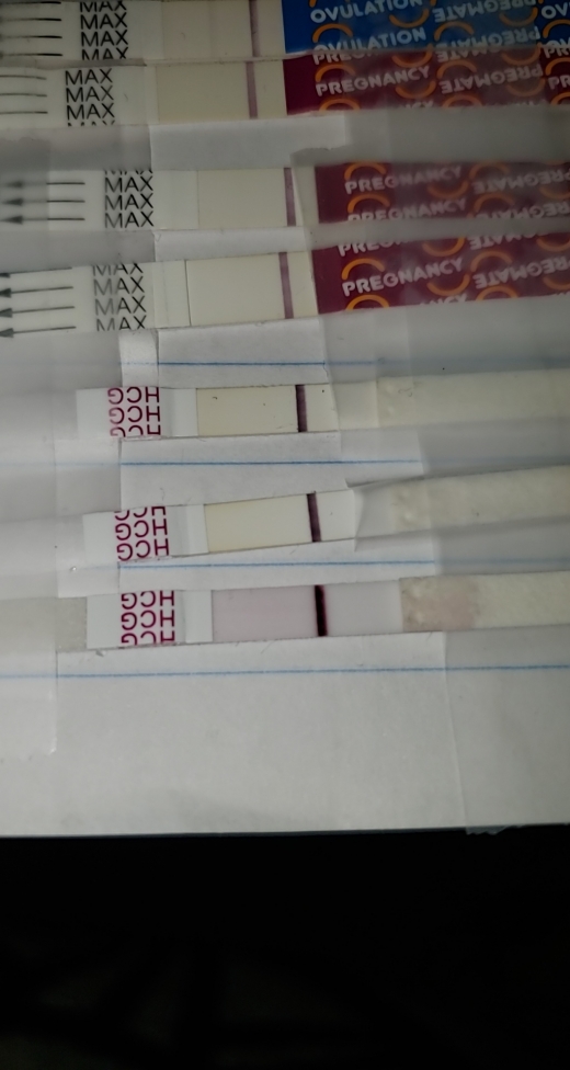 New Choice Pregnancy Test, 13 Days Post Ovulation, FMU, Cycle Day 32