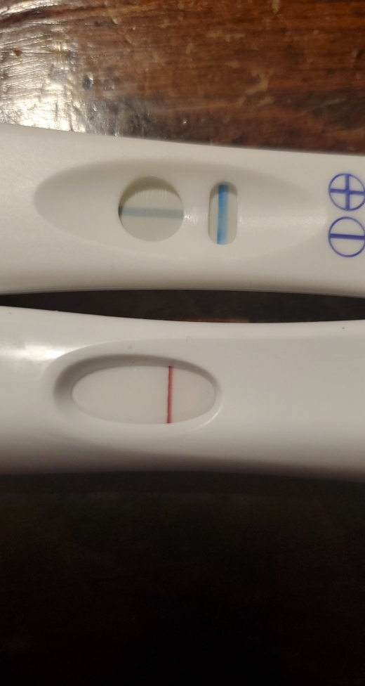 Home Pregnancy Test