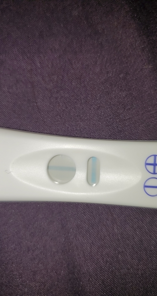 Home Pregnancy Test