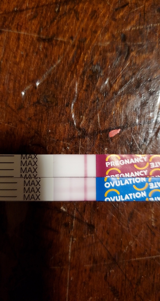 Wondfo Test Strips Pregnancy Test, 10 Days Post Ovulation, Cycle Day 24