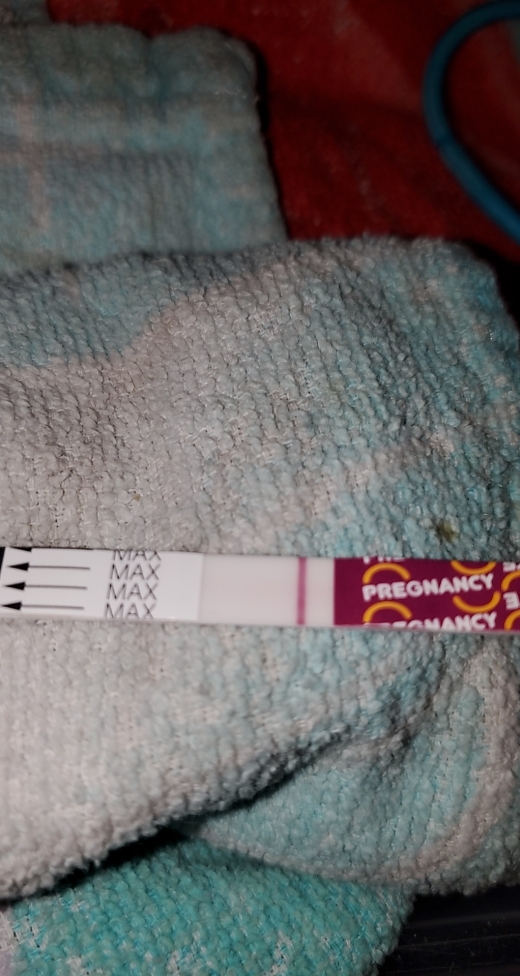 Home Pregnancy Test