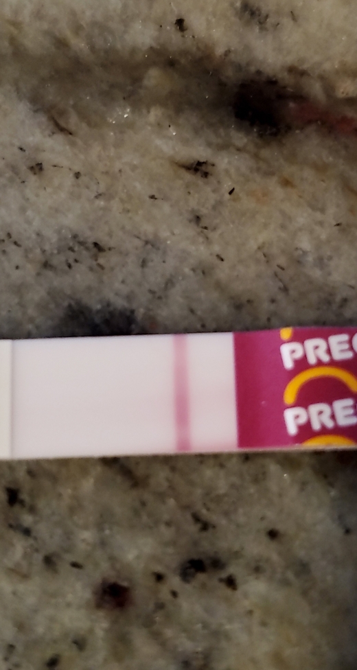 Home Pregnancy Test