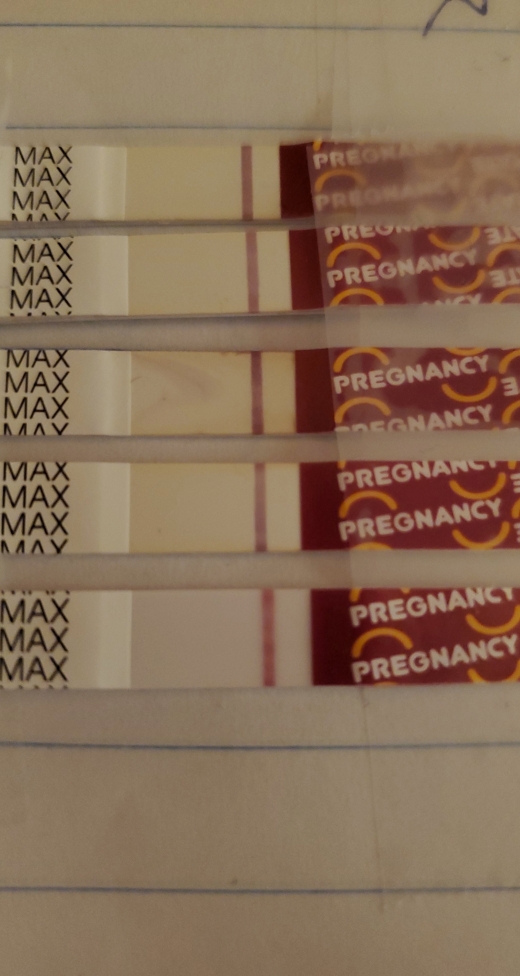 Home Pregnancy Test