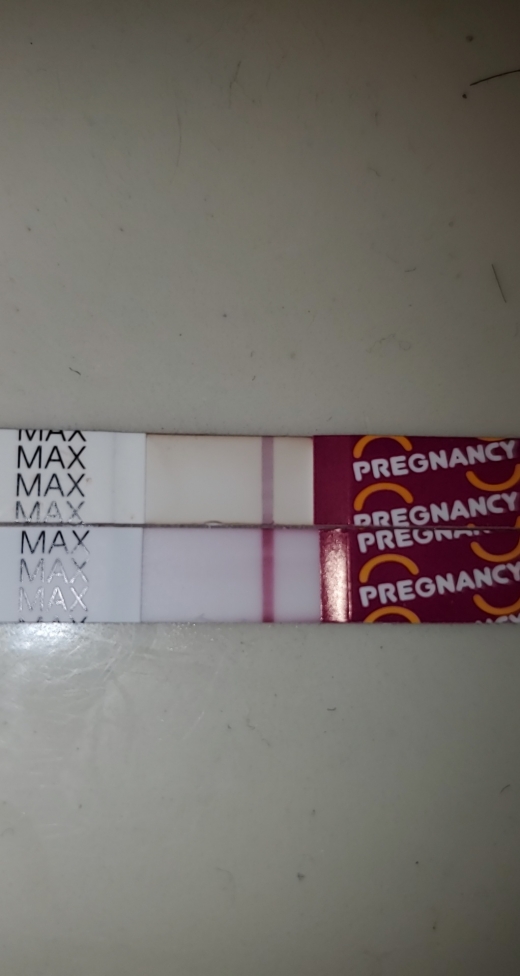 Home Pregnancy Test