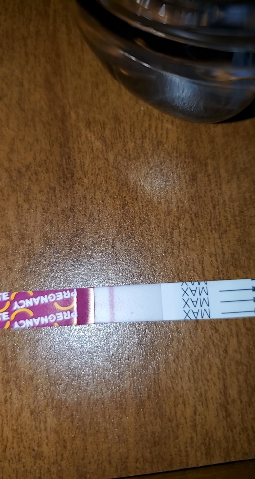 Home Pregnancy Test