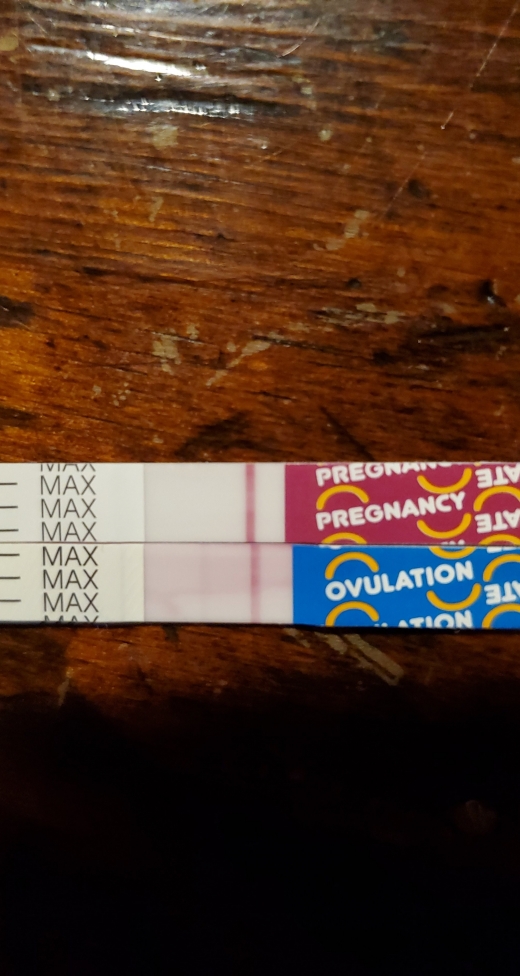 Home Pregnancy Test, 13 Days Post Ovulation, Cycle Day 27