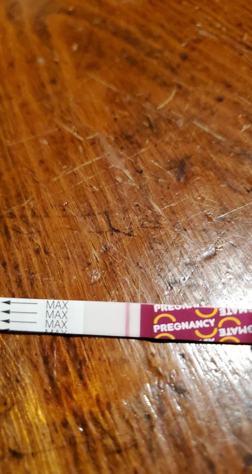 Home Pregnancy Test