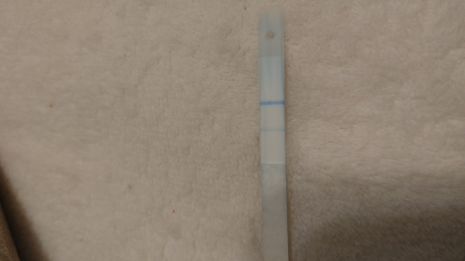 CVS Early Result Pregnancy Test