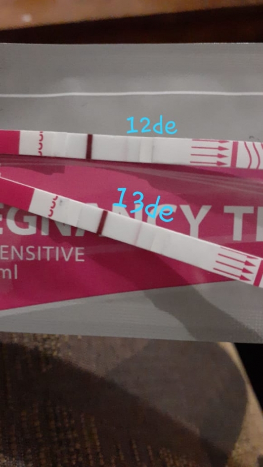 Home Pregnancy Test, FMU