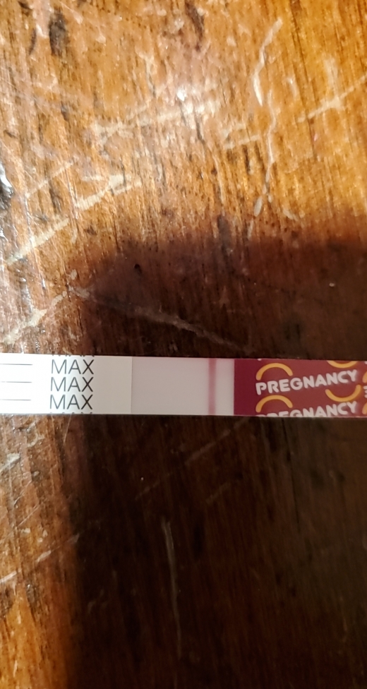 Home Pregnancy Test