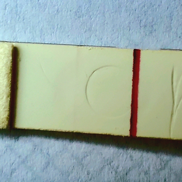 First Response Early Pregnancy Test, 9 Days Post Ovulation, FMU, Cycle Day 28