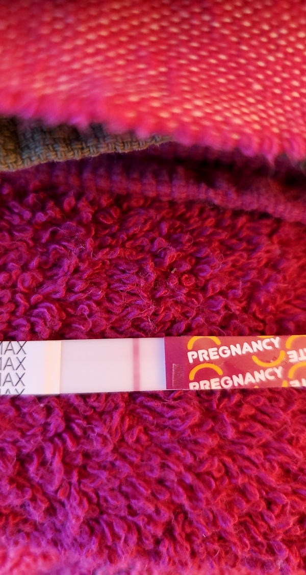 Wondfo Test Strips Pregnancy Test, 11 Days Post Ovulation, FMU, Cycle Day 25