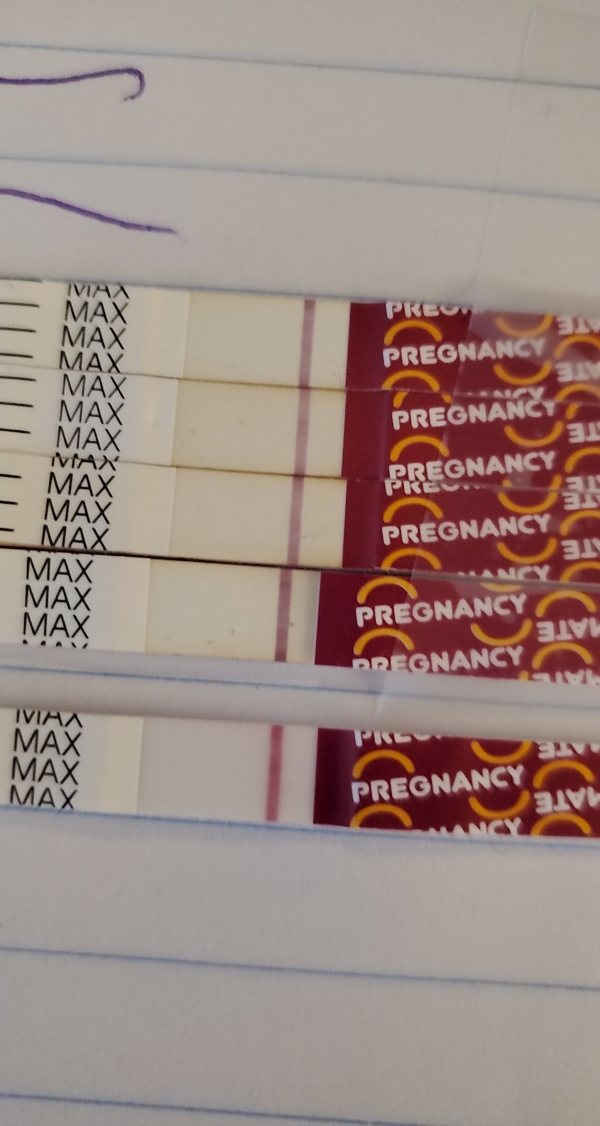 Home Pregnancy Test
