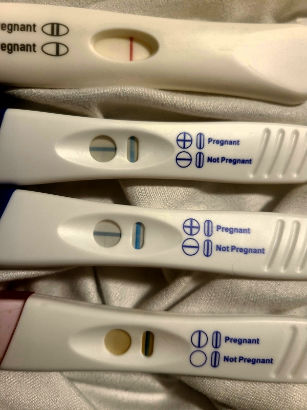 Home Pregnancy Test
