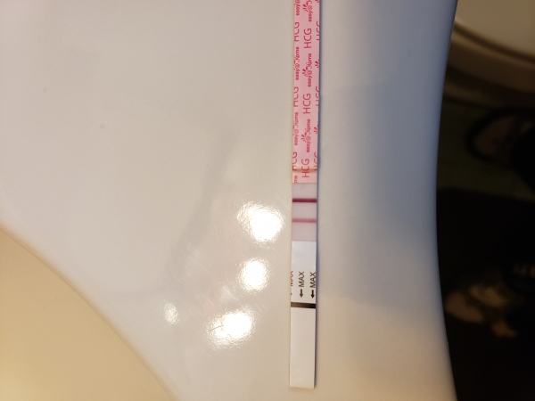 Easy-At-Home Pregnancy Test, 17 Days Post Ovulation