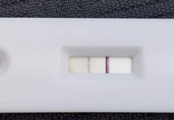 Home Pregnancy Test, FMU