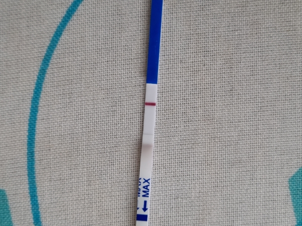 Generic Pregnancy Test, 12 Days Post Ovulation