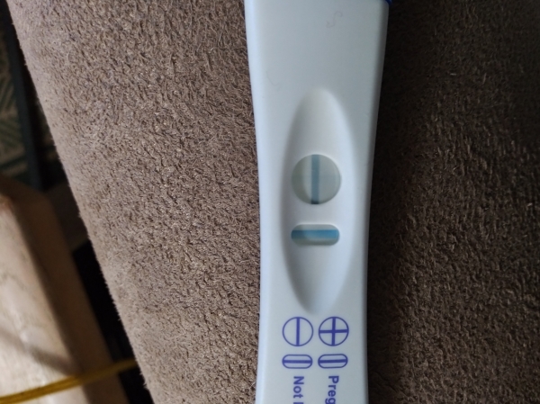 Generic Pregnancy Test, FMU
