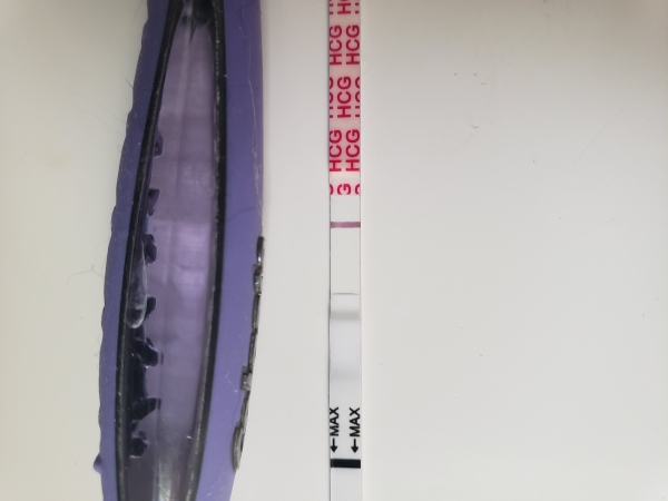 Wondfo Test Strips Pregnancy Test, 9 Days Post Ovulation, Cycle Day 19