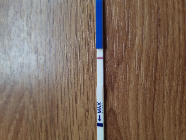 Generic Pregnancy Test