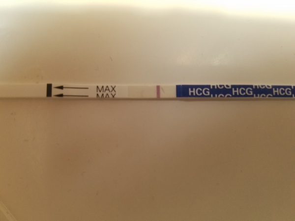 Home Pregnancy Test