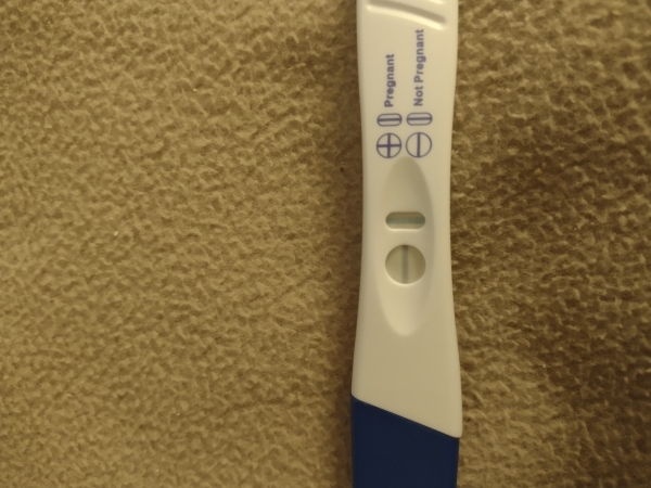 Equate One Step Pregnancy Test, 21 Days Post Ovulation, Cycle Day 45